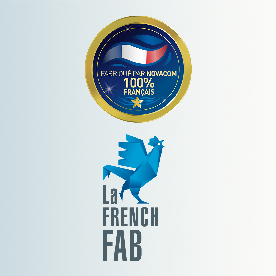 Logo french fab 
